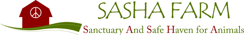 SASHA Farm | Sanctuary and Safe Haven for Animals